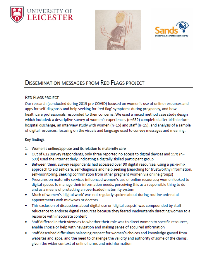 Red Flags project key findings