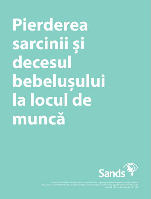 Front cover of Pregnancy and Baby Loss at Work document in Romanian
