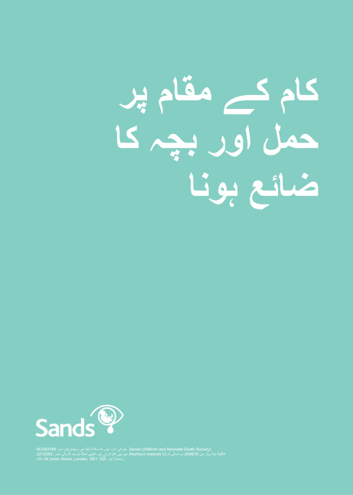 Front cover of Pregnancy and Baby Loss at Work in Urdu