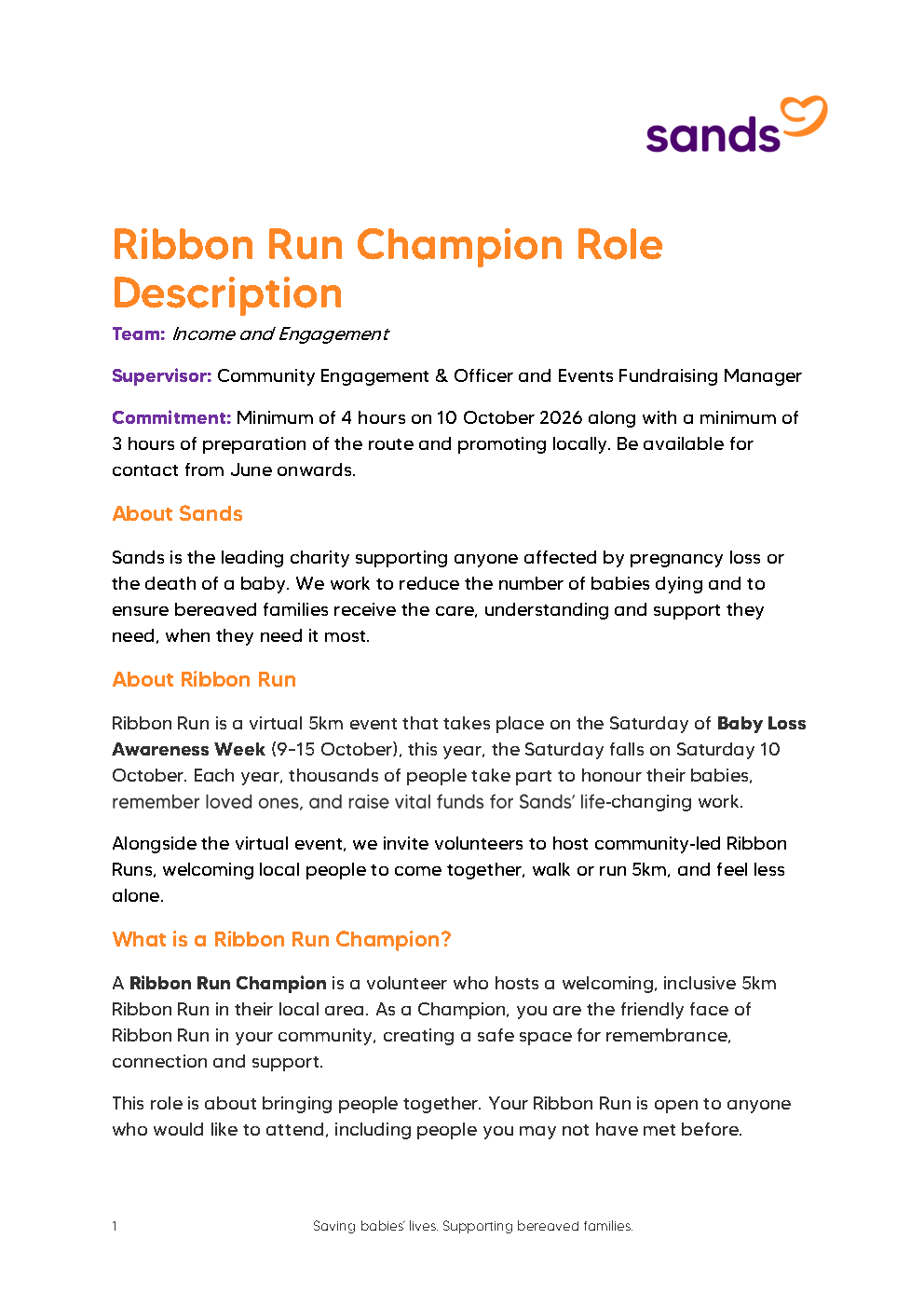 Image of the first page of the Ribbon Run Champion Role Description 