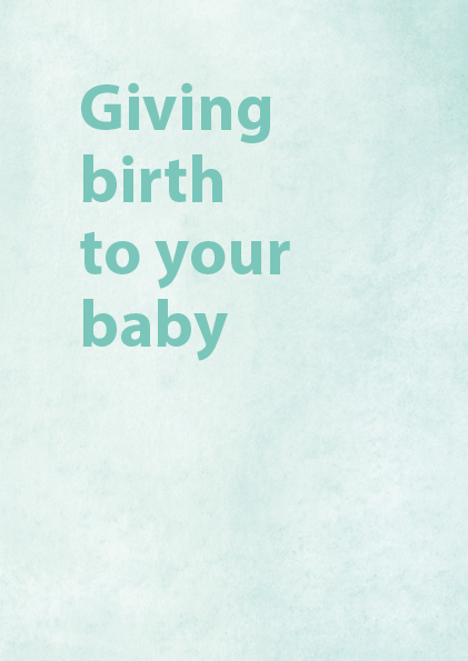 Sands - Giving birth to your baby