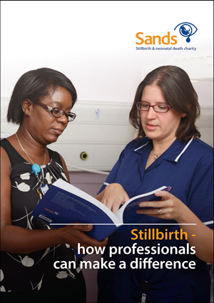 Stillbirth, neonatal death, baby death, Sands, charity, guide, help, health professionals