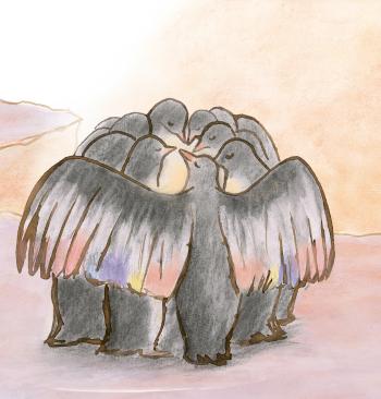 A flock of penguins look after a mother penguin who experiences a stillbirth.
