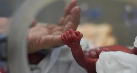 Hand of a newborn baby holding onto their parent's finger