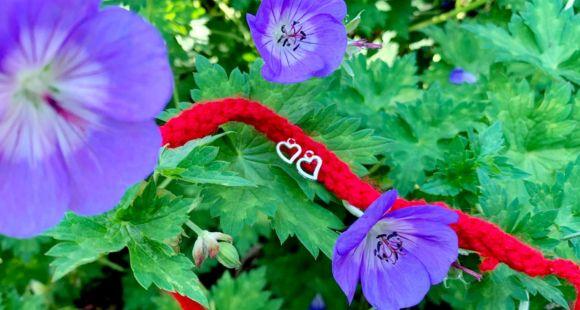 A red Rakhi placed amongst purple flowers and green leaves