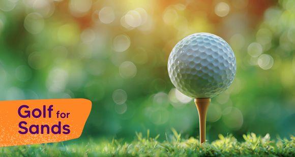 Golf ball image