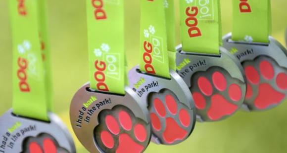 Dog Jog Sheffield Sands
