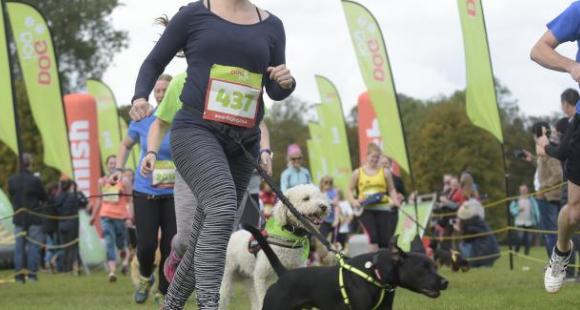 Big Dog Jog Birmingham