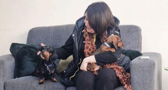 A lady with brown hair pats and smiles at two brown sausage dogs after sharing about the stillbirth of her daughter
