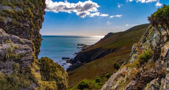 Devon