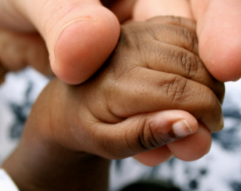 baby's hand holding adult hand