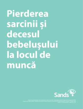 Front cover of Pregnancy and Baby Loss at Work document in Romanian