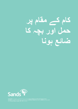 Front cover of Pregnancy and Baby Loss at Work in Urdu