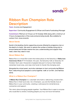 Image of the first page of the Ribbon Run Champion Role Description 