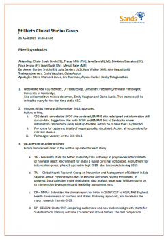 April Stillbirth CSG minutes