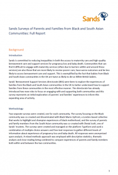 Surveys full report pdf
