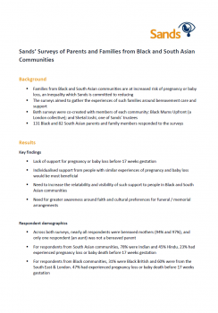 Surveys report summary pdf