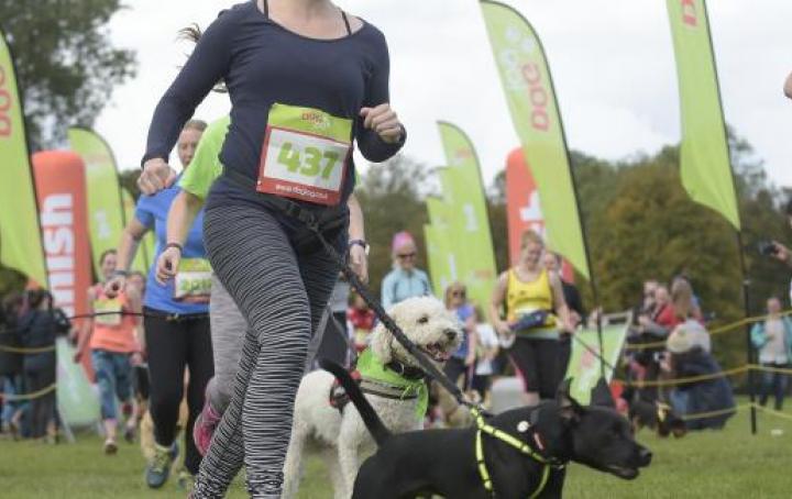 Big Dog Jog Birmingham