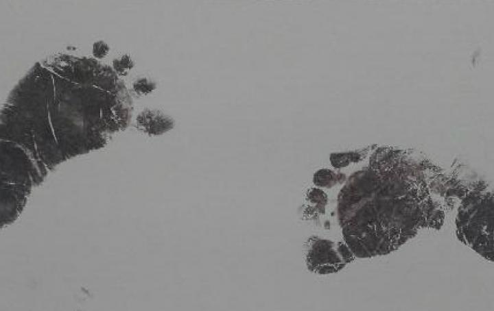 neonatal, death, UNICEF, report