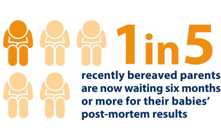 Text reads one in five recently bereaved parents are now waiting six months or more for their babies’ post-mortem results