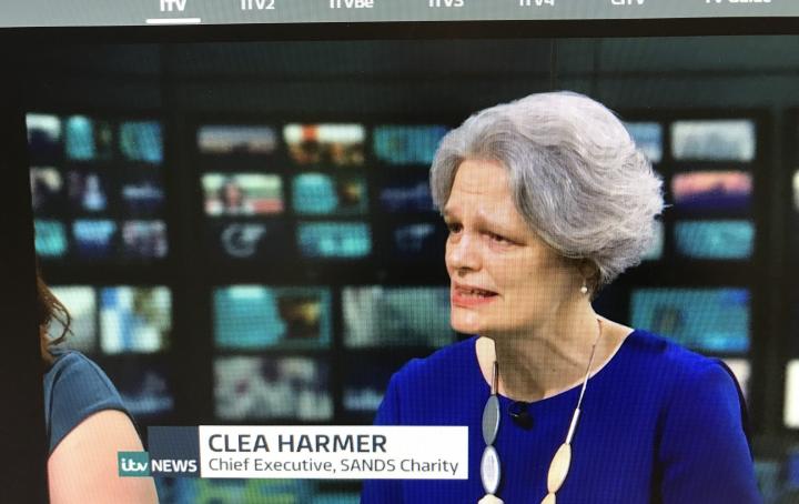 Clea Harmer 