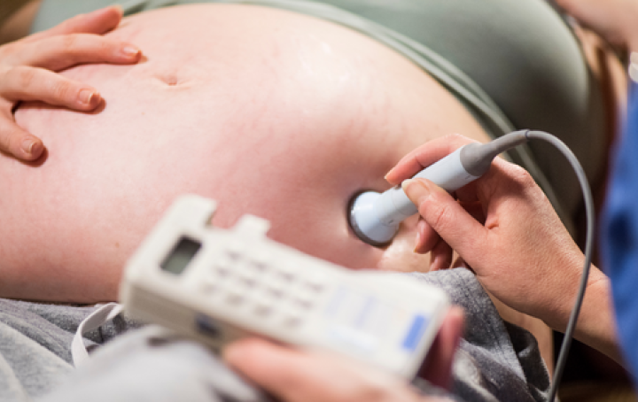 Pregnancy Outcome Prediction Study