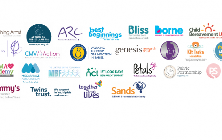 Pregnancy and Baby Charities Network