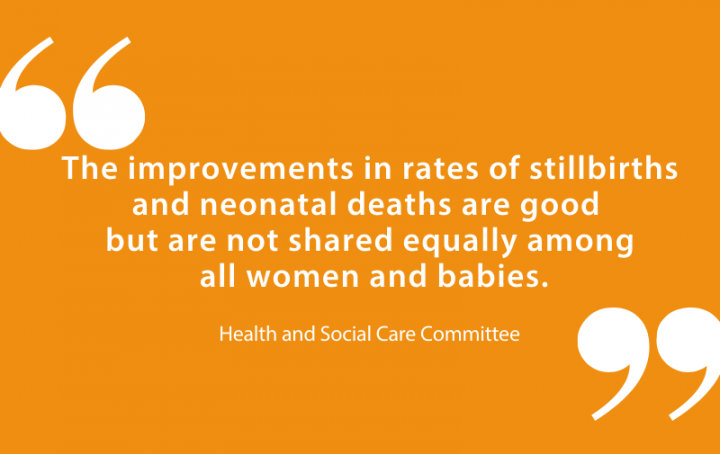 Health and Social Care Committee quote