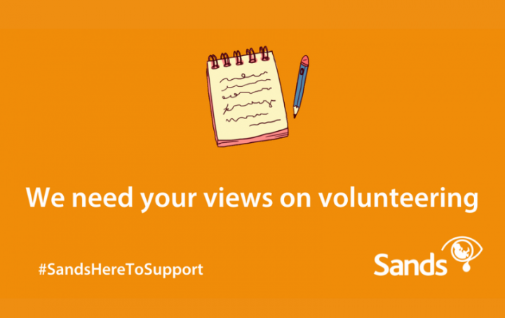 Sands volunteering survey