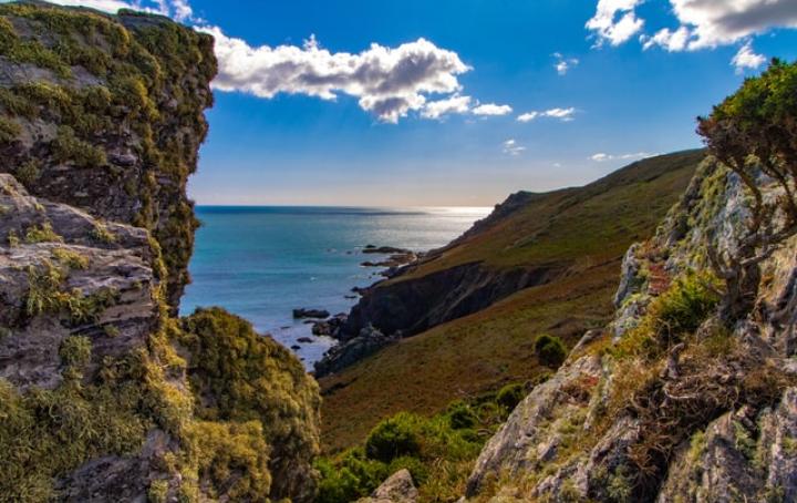 Devon